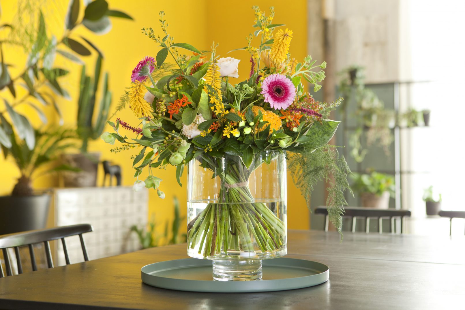 fotostyling chrysal plantenvoeding styling boeket