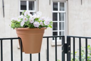 fotoshoot styling bloemen en planten balkon