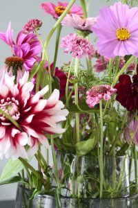 fotostyling stylen planten bloemen seizoen stylist pluktuin