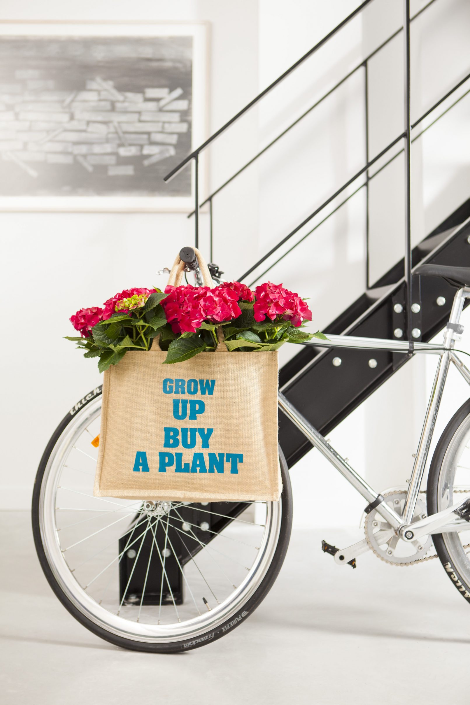 fotostyling hortensia styling bloemen en planten Helene 's-Hertogenbosch