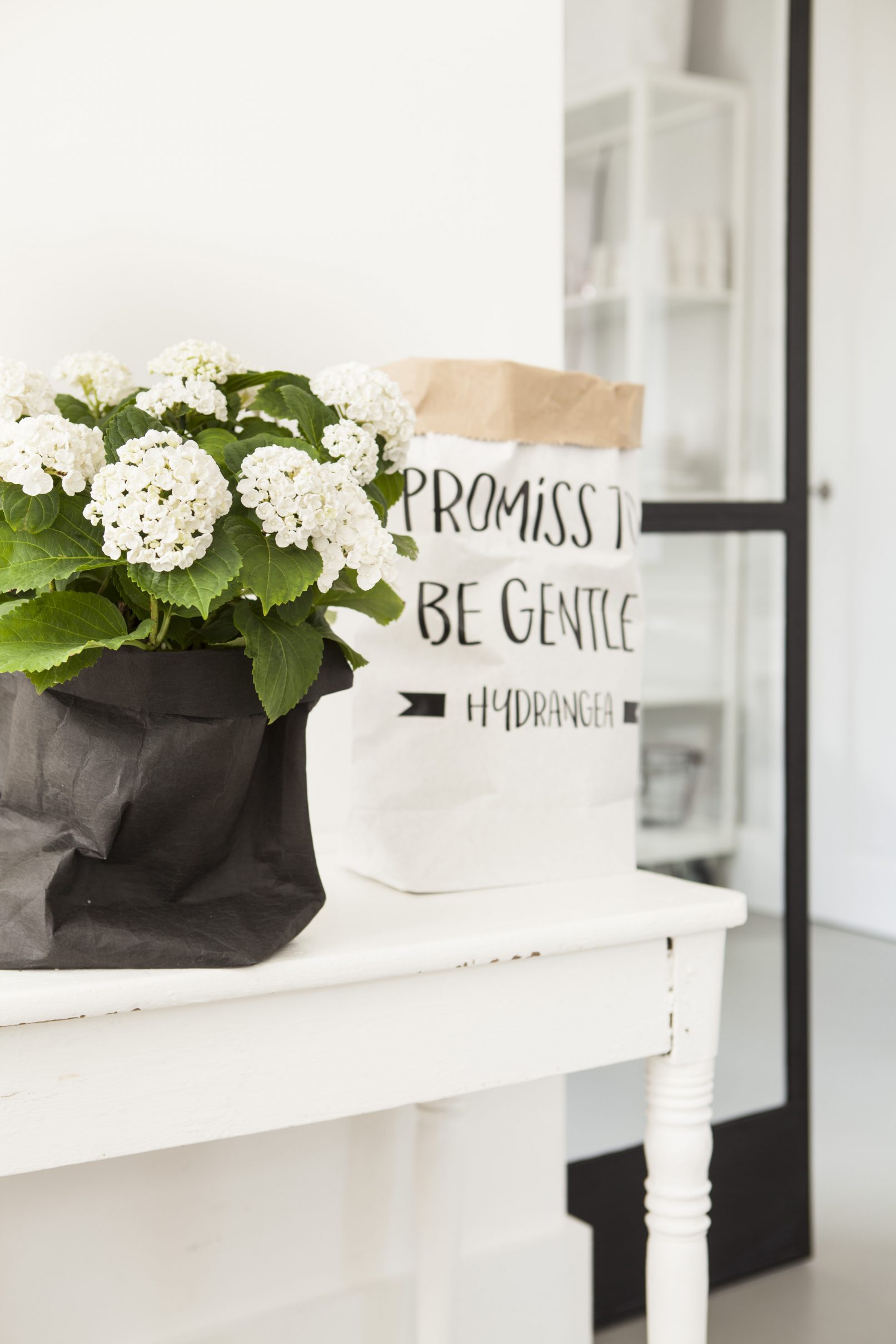 fotostyling hortensia styling bloemen en planten Helene 's-Hertogenbosch