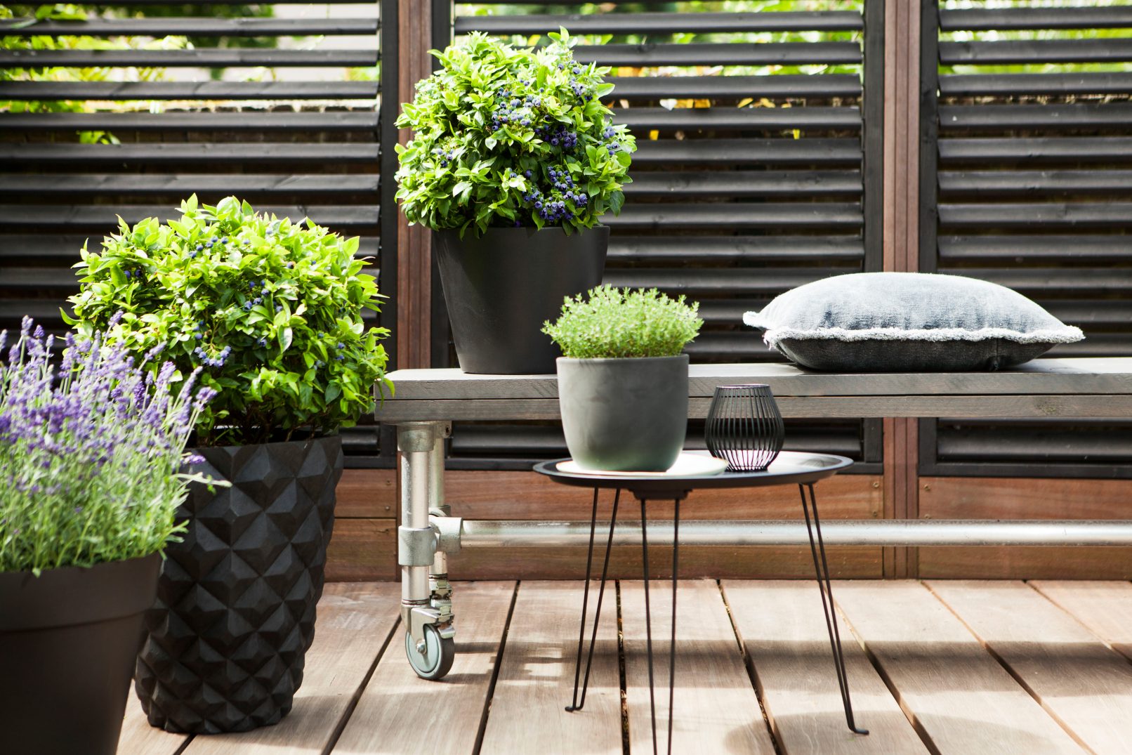 brazelberry fotostyling bloemen en planten 's-hertogenbosch