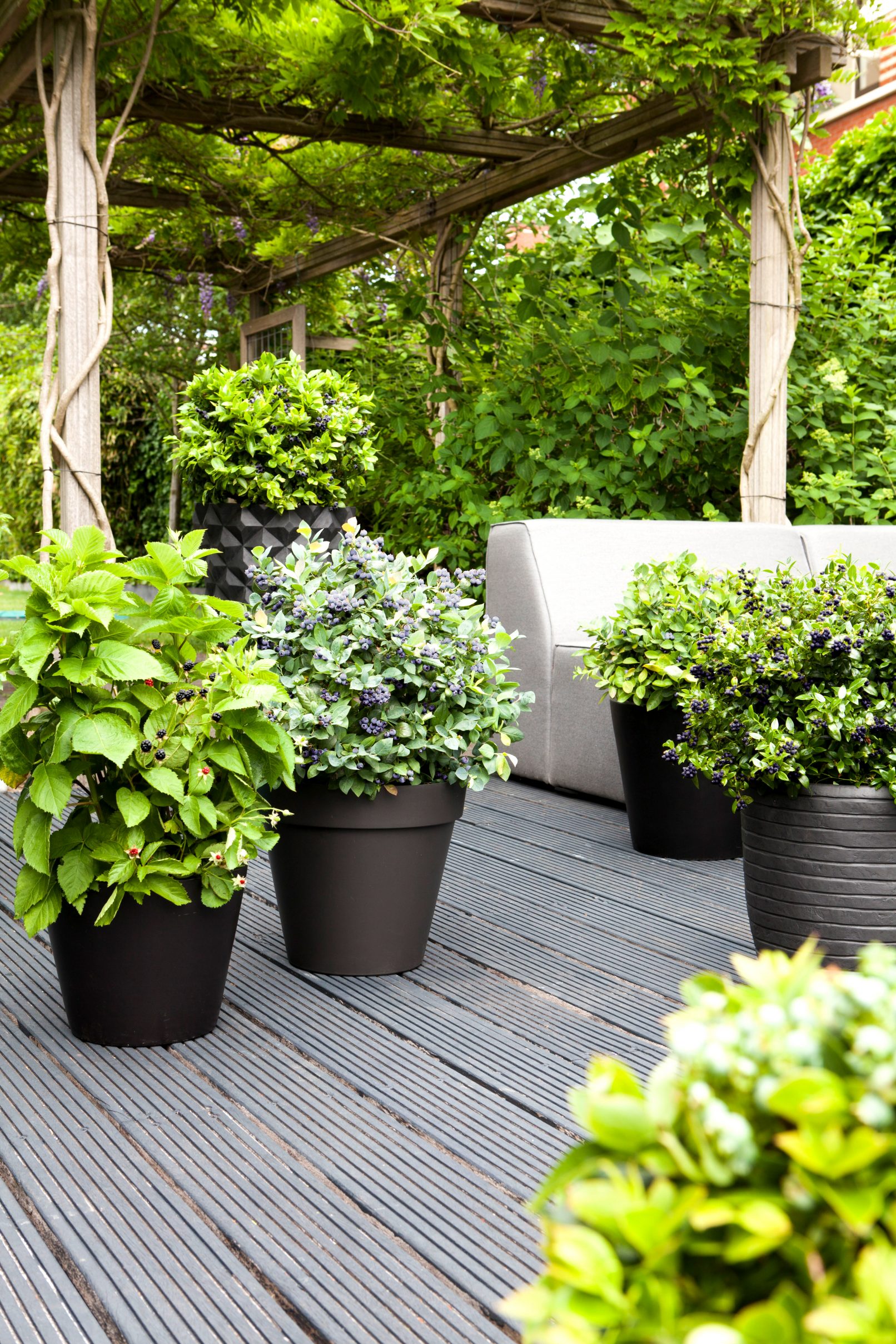 brazelberry fotostyling collectie