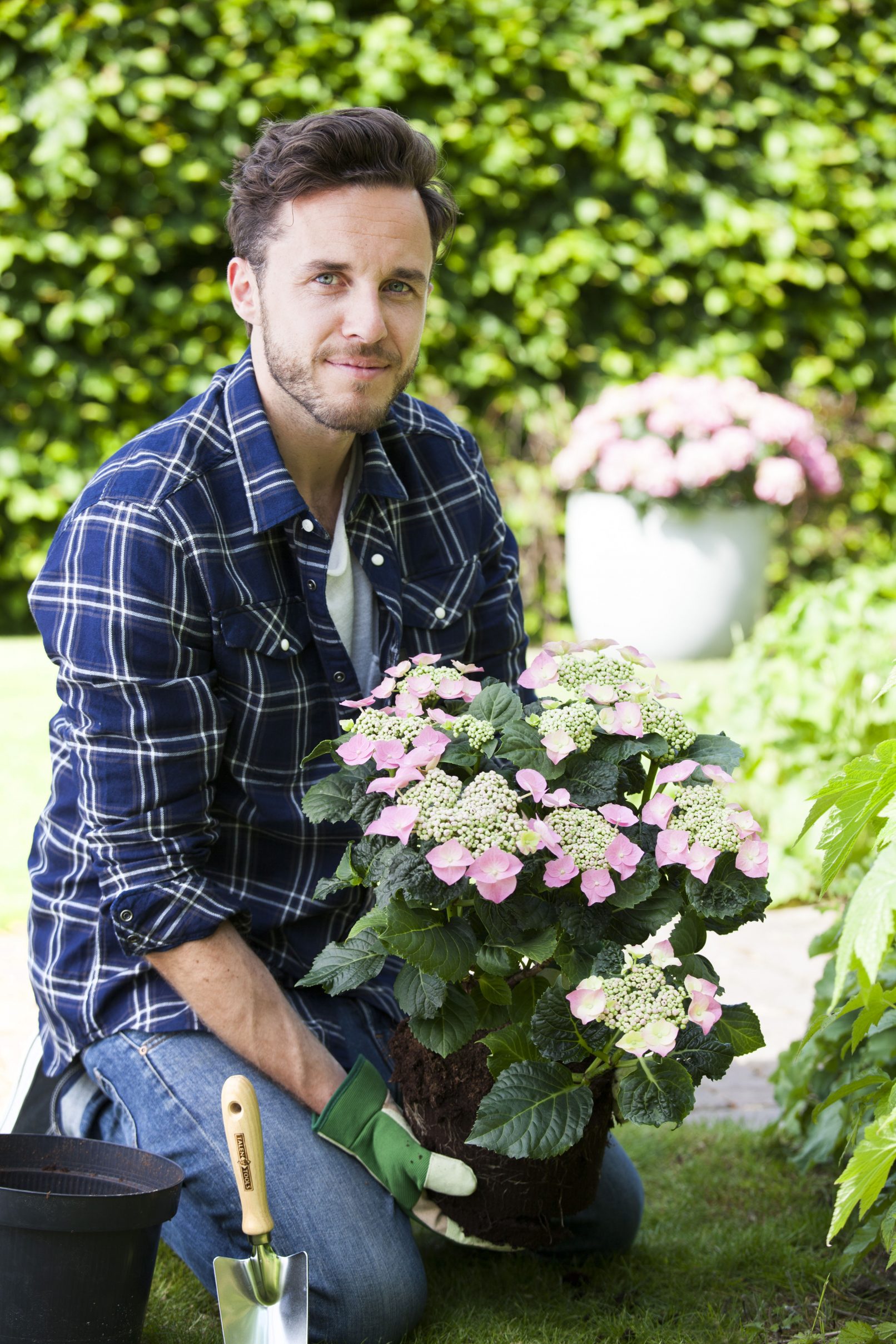 fotostyling hortensia tuin