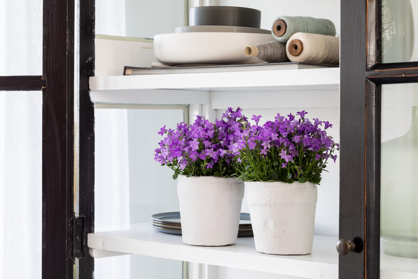 Fotostyling Dolc'amore campanula Helene Verhoeff