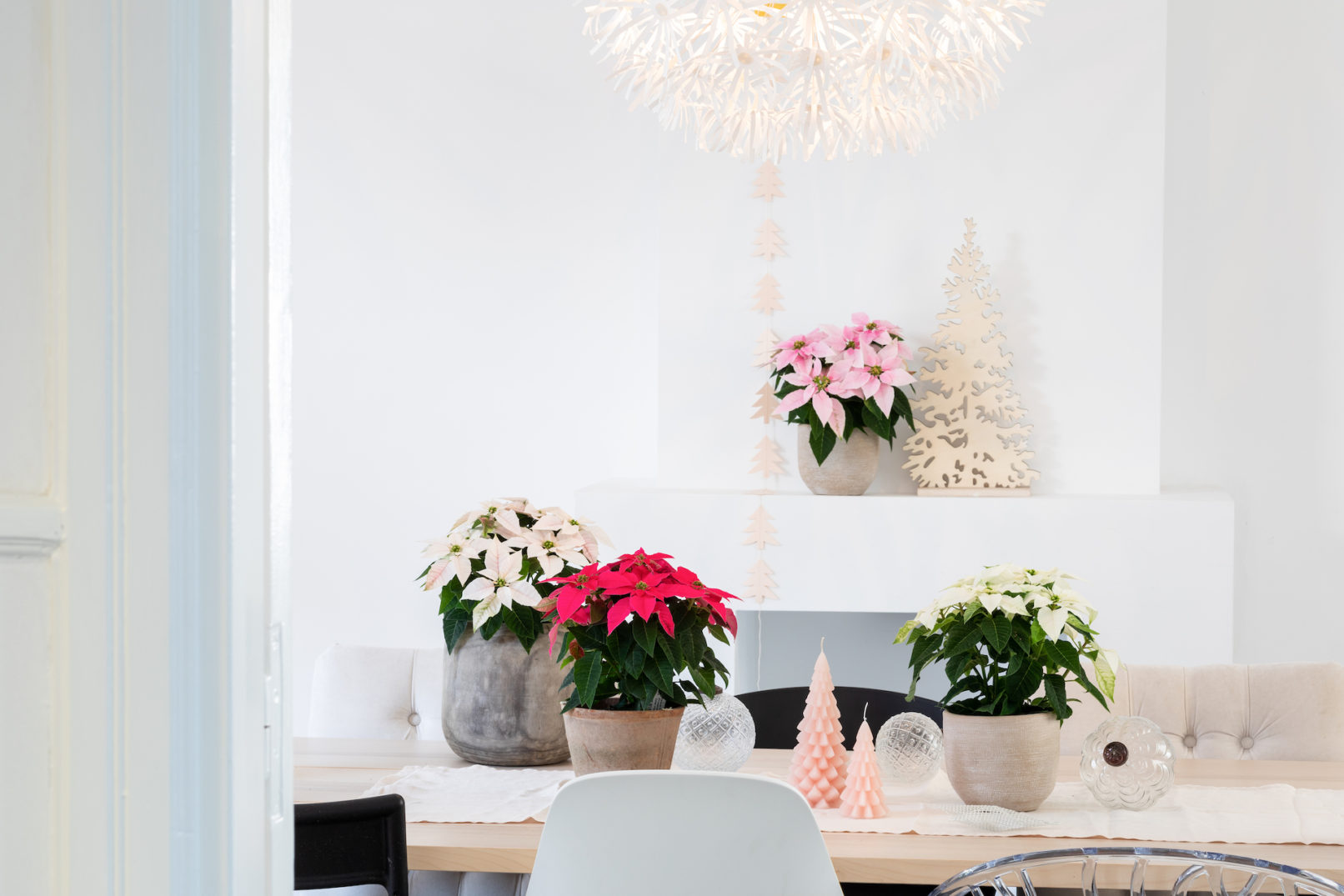 Fotostyling Dolc'amore kerst Helene Verhoeff