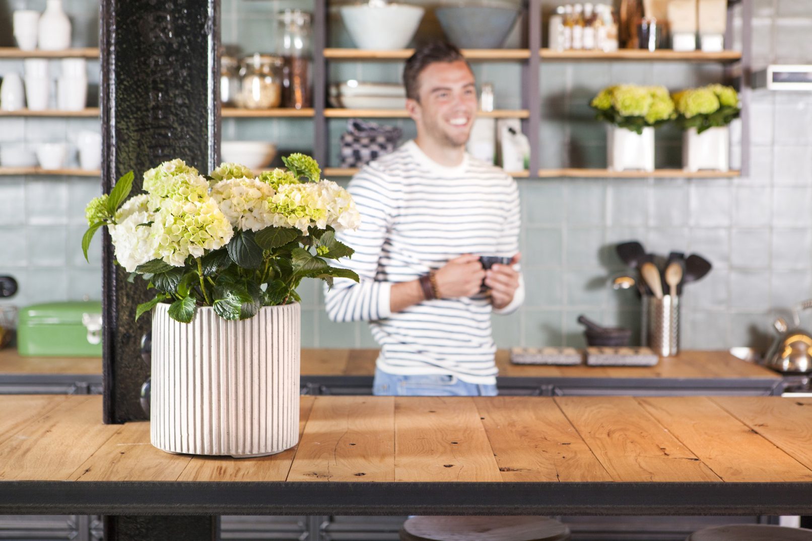 fotostyling hortensia Helene Verhoeff