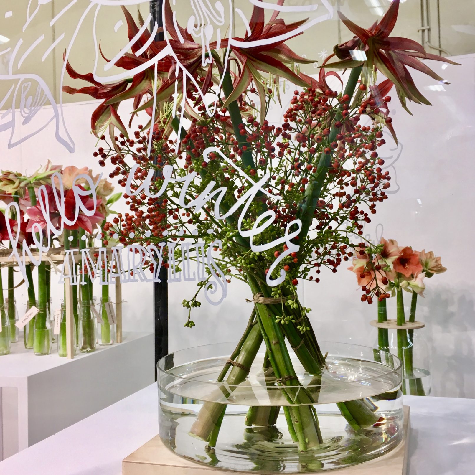 eventstyling Amaryllis