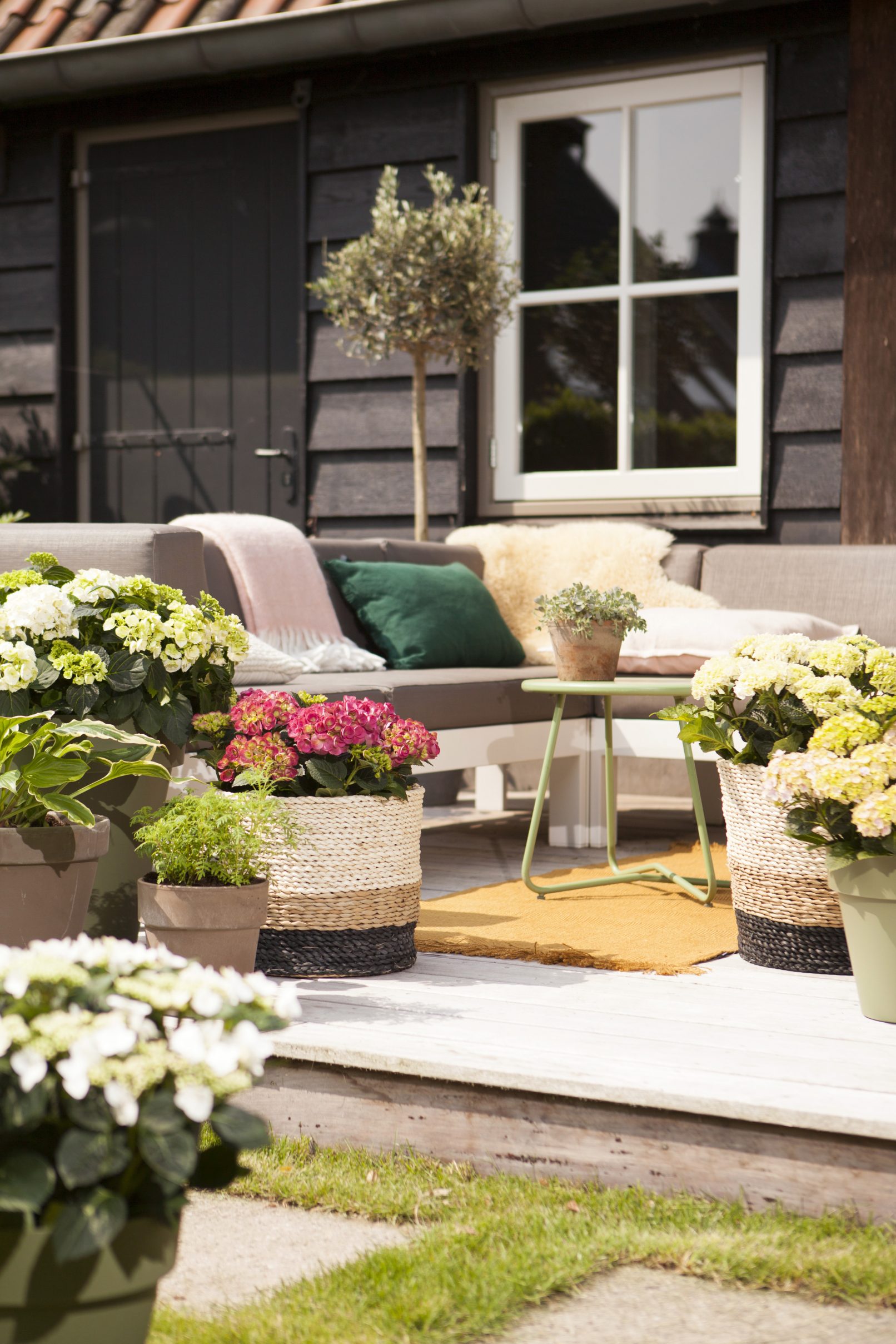 fotostyling hortensia tuin Helene Verhoeff
