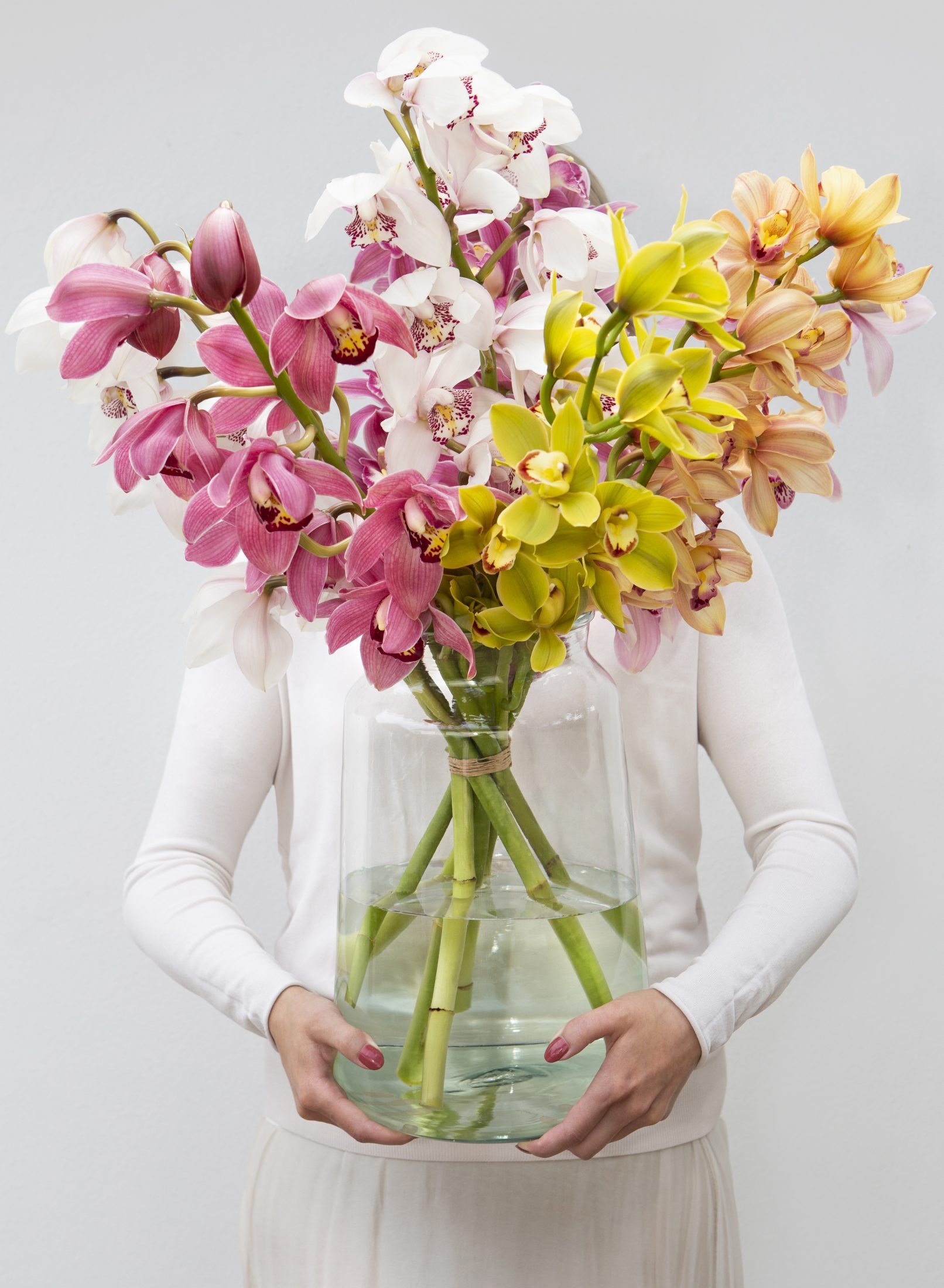 fotostyling Cymbidium - Helene Verhoeff-