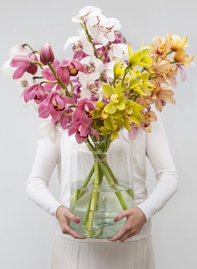 fotostyling Cymbidium - Helene Verhoeff-