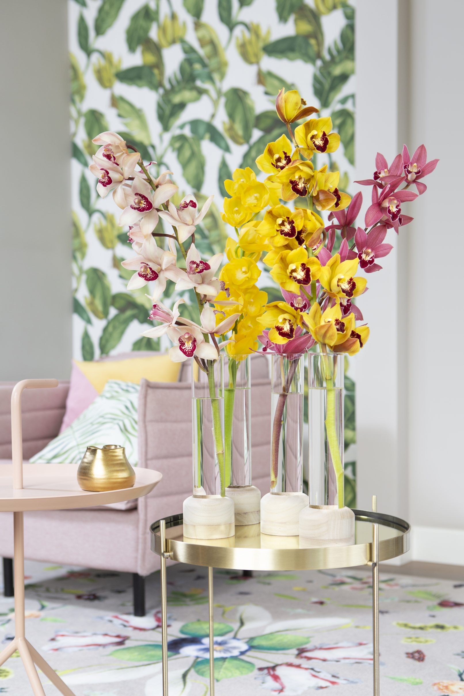fotostyling Cymbidium - Helene Verhoeff-