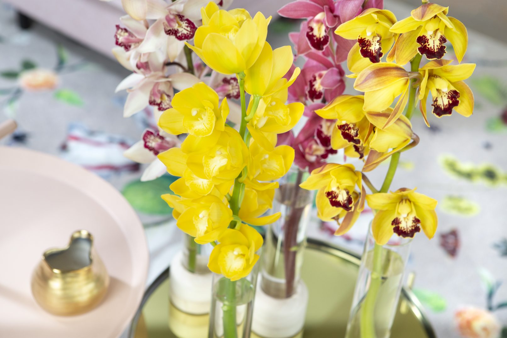 fotostyling Cymbidium - Helene Verhoeff-