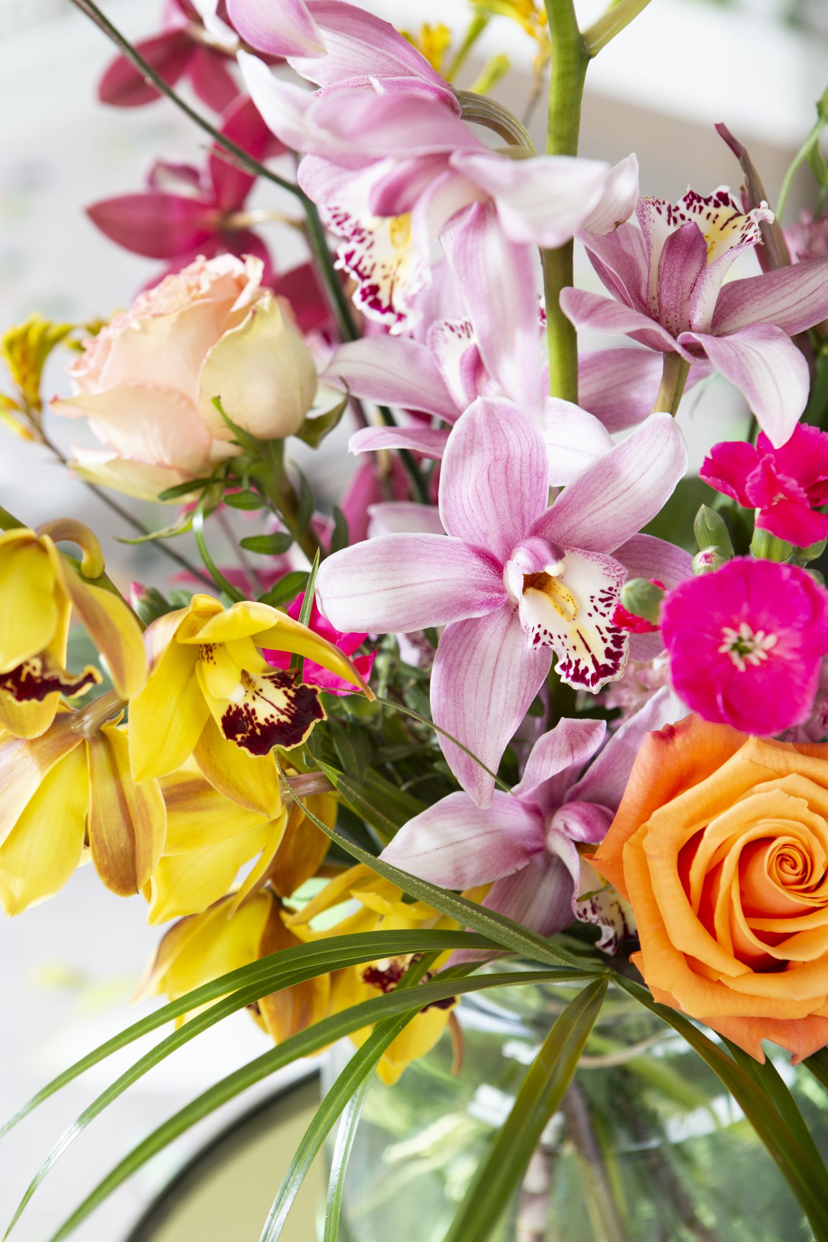 fotostyling Cymbidium - Helene Verhoeff-