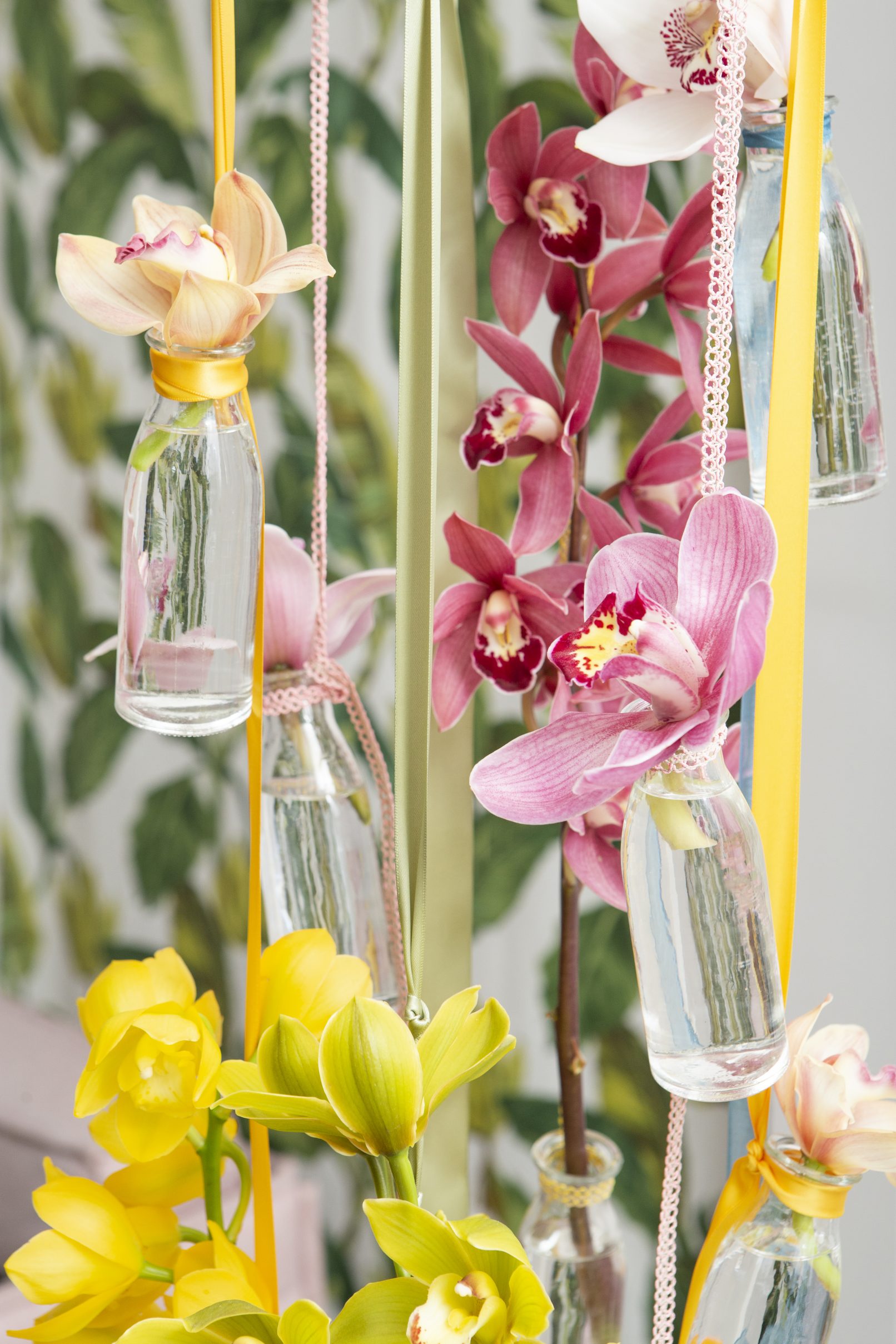 fotostyling Cymbidium - Helene Verhoeff-