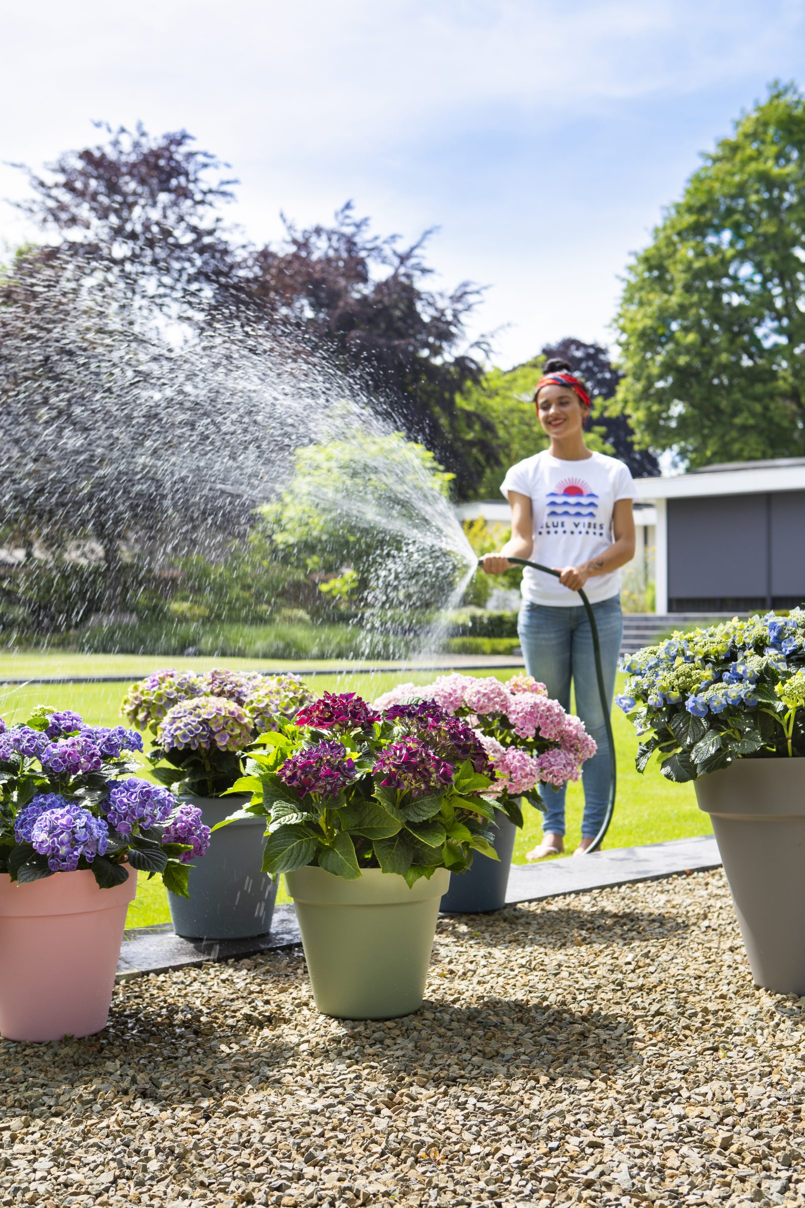 fotostyling pothortensia voor in de tuin - Helene Verhoeff-
