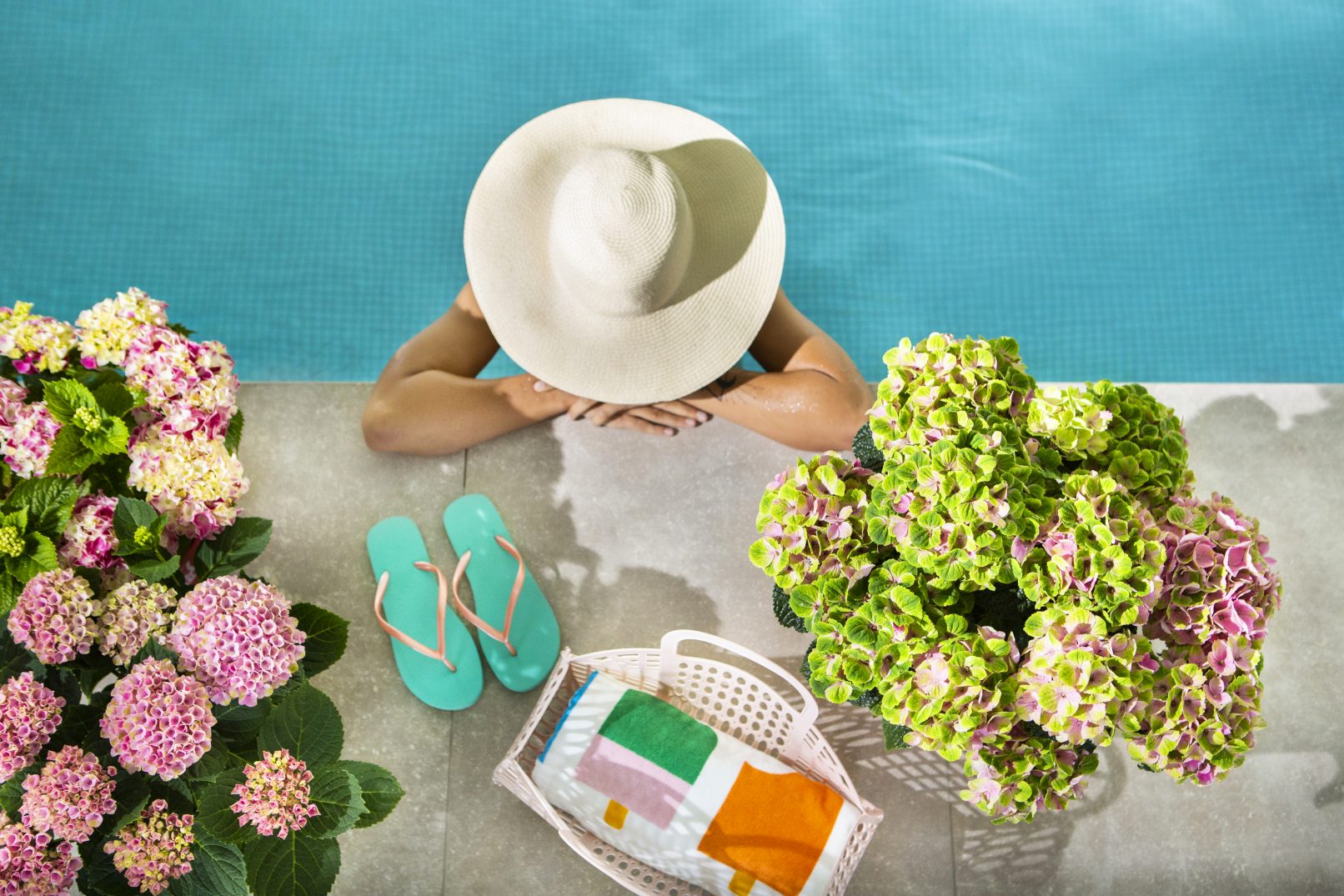 fotostyling pothortensia voor in de tuin- Helene Verhoeff-