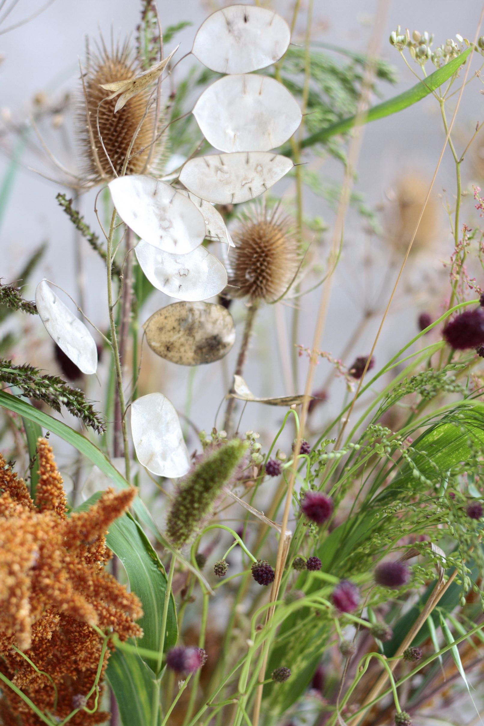 detail duurzaam droogbloemenboeket Helene Verhoeff