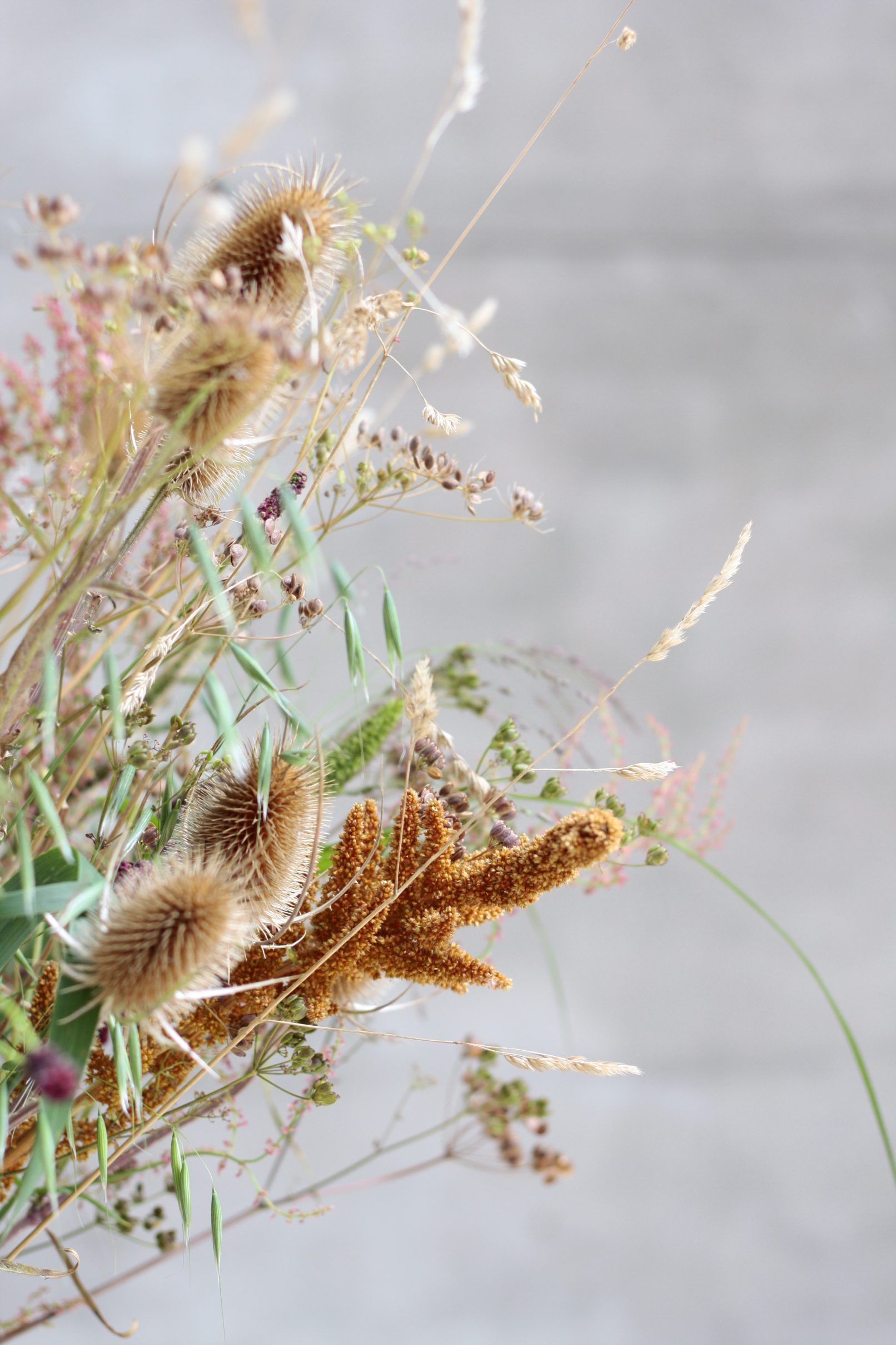 detail duurzaam droogbloemen boeket Helene Verhoeff