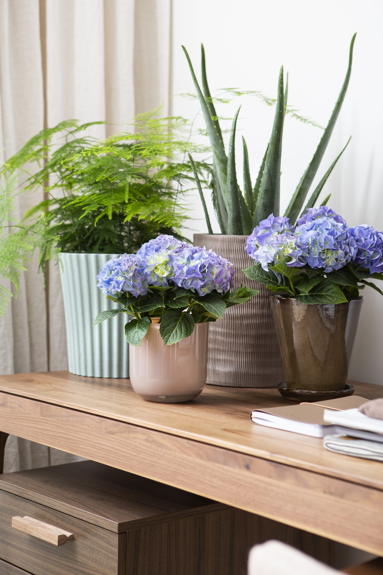 productfotografie pothortensia