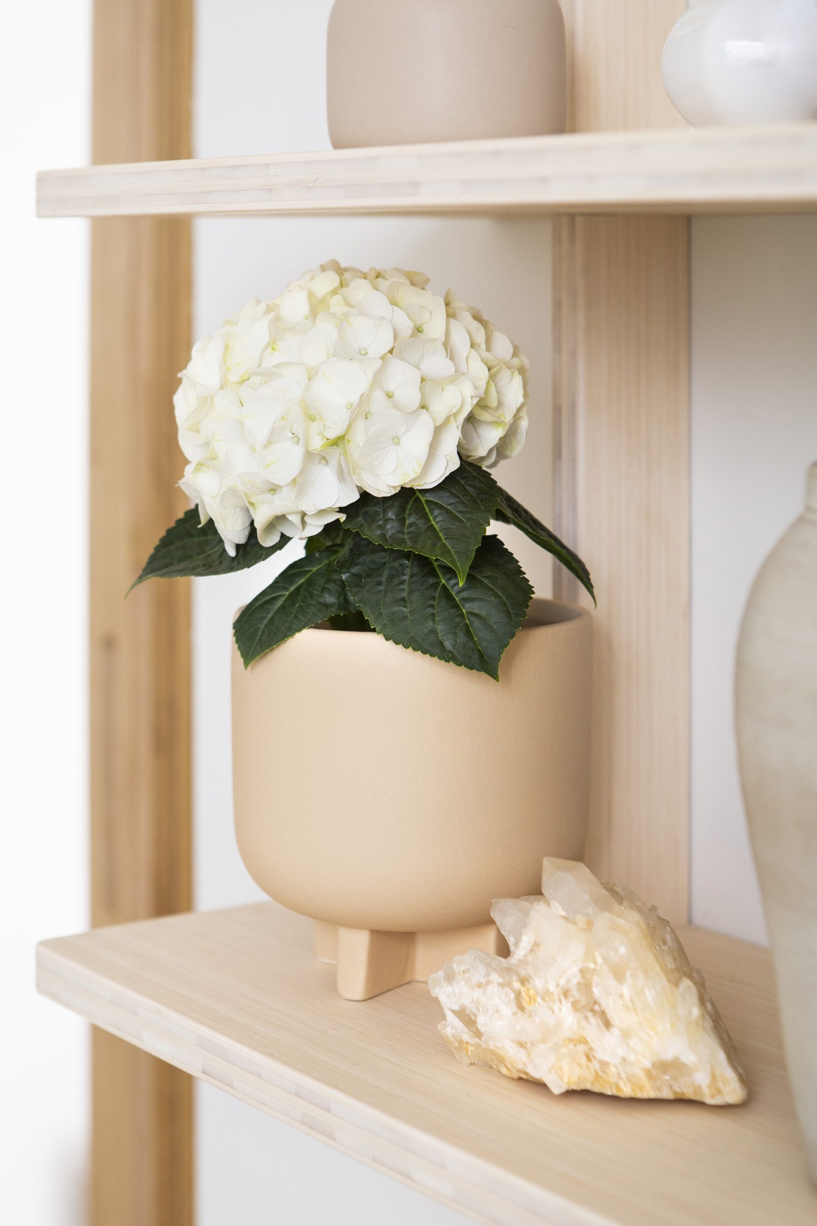 productfotografie pothortensia